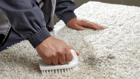 Professional Rug Cleaning Scoresby